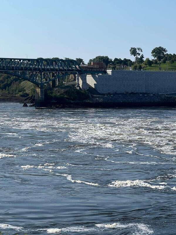 Private Bay of Fundy and City Highlights Tour up to 7 - Exploring the Itinerary in Detail