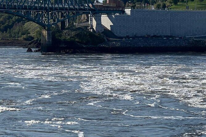 Private Bay of Fundy & City sightseeing (Saint John, NB) - Good To Know