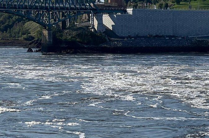 Private Bay of Fundy & City sightseeing (Saint John, NB) - Why This Tour Works Well