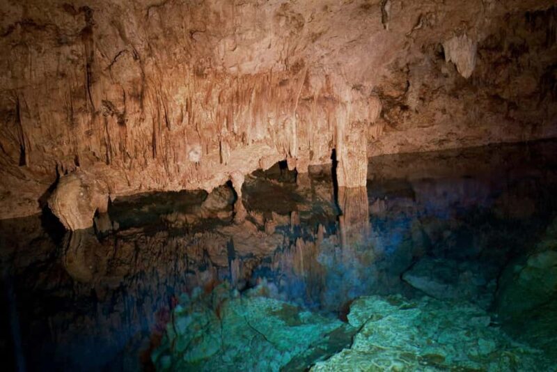 Private: Bayahibe: Jungle Walk and Cenote Snorkeling Tour - What to Expect from This Tour