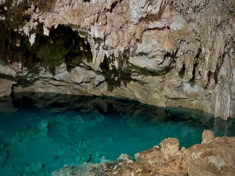 Private: Bayahibe: Jungle Walk and Cenote Snorkeling Tour - Final Thoughts: Who Should Consider This Tour?