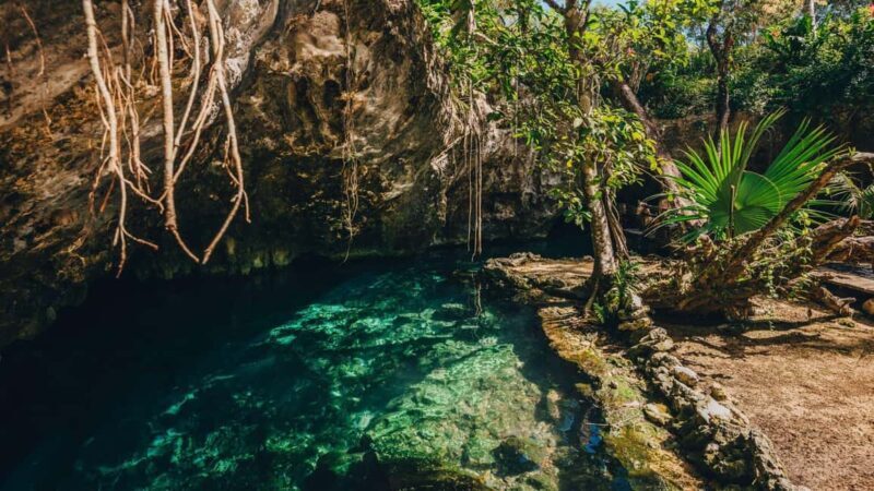 Private: Bayahibe: Jungle Walk and Cenote Snorkeling Tour - FAQ