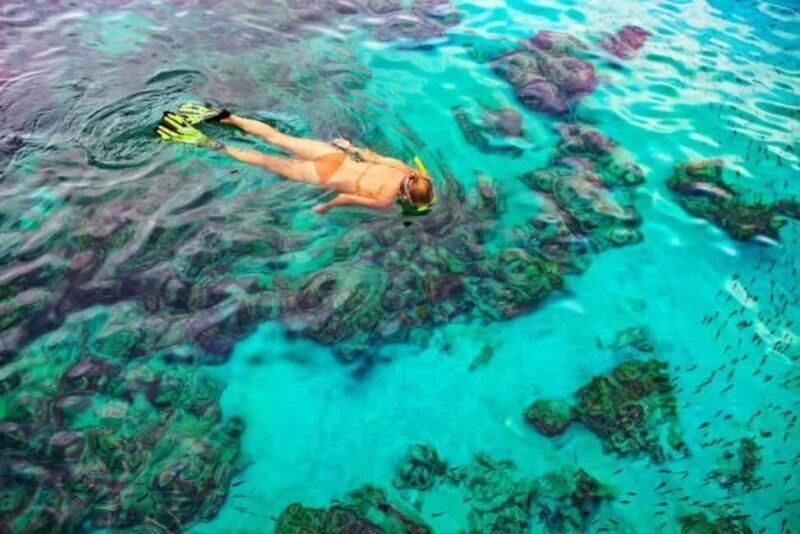 Private Bayahibe: Snorkeling Tour with Lunch and Cenote Swim - Good To Know