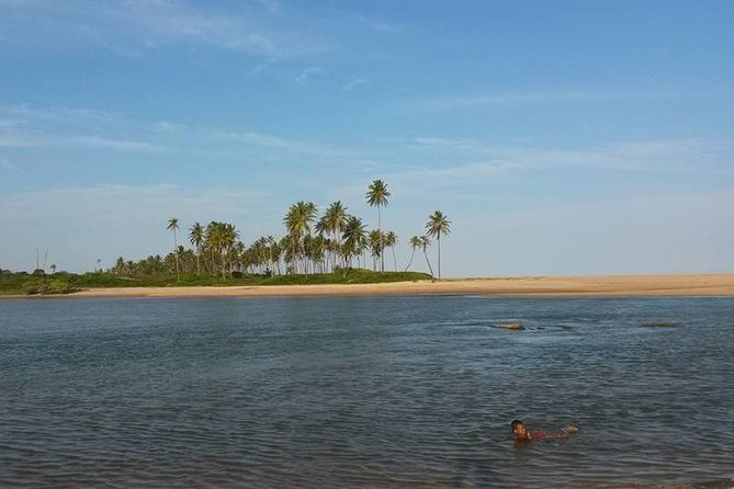 Private Beach Buggy Tour - Praia Do Forte by Emytour - Booking Information