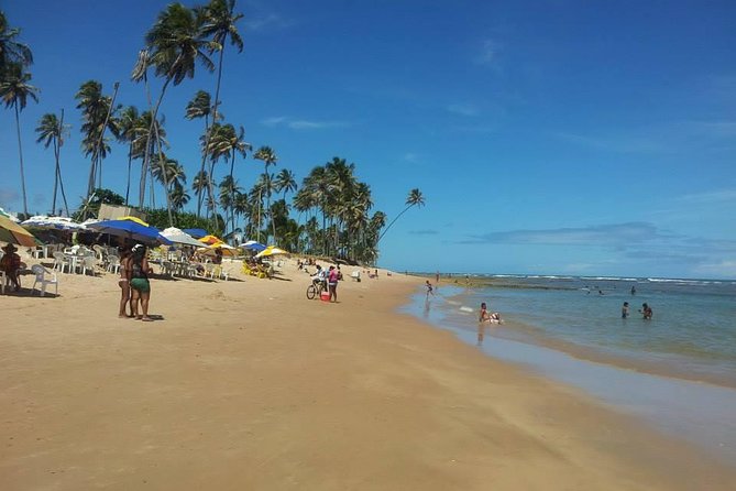 Private Beach Buggy Tour - Praia Do Forte by Emytour - Reviews