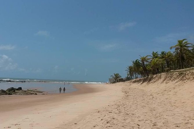 Private Beach Buggy Tour - Praia Do Forte by Emytour - Weather Requirements