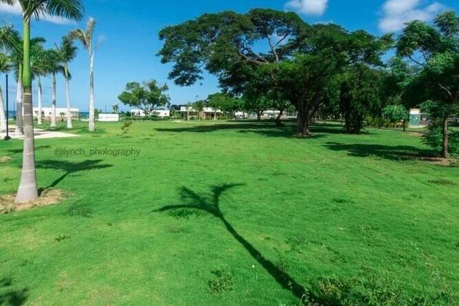 Private Beach Day and Street Food Tour from Montego Bay - Good To Know