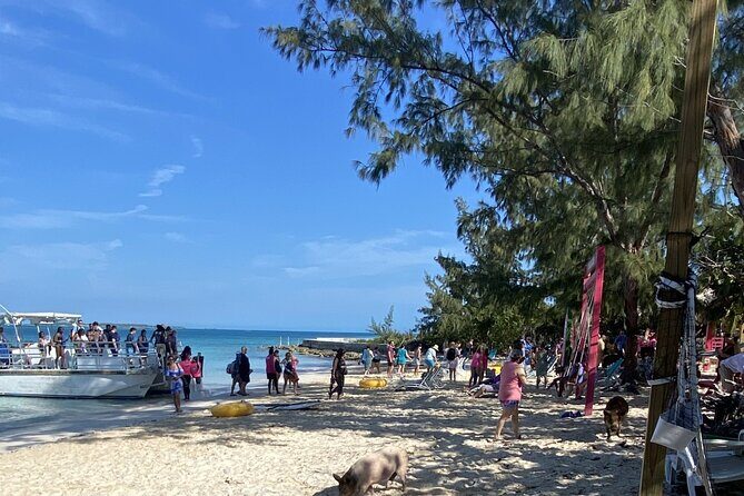 Private Beach Day Snorkeling and Swimming with Pig in Rose Island - The Price and Overall Value