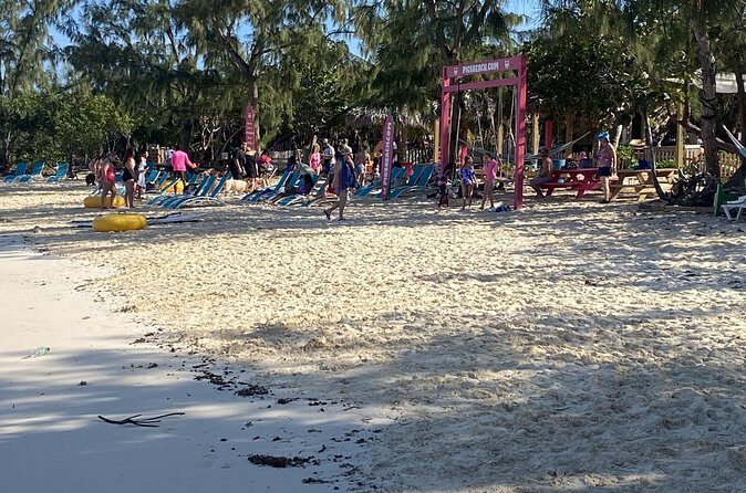 Private Beach Day Snorkeling and Swimming with Pig in Rose Island - Who Should Consider This Tour?