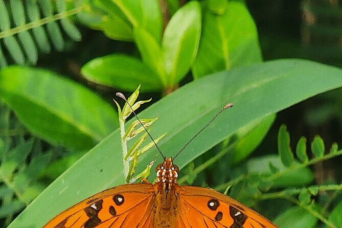 Private Beach Hike Sunrise Serenity - Good To Know