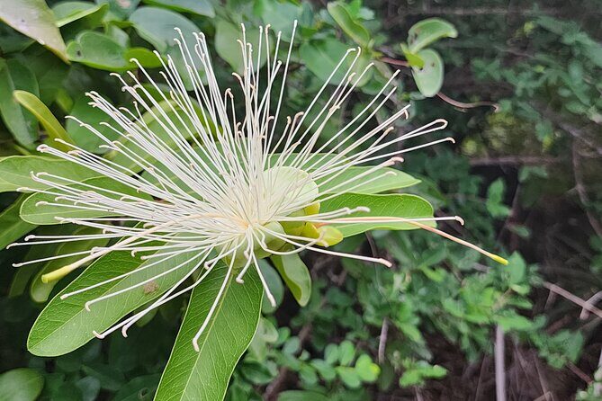 Private Beach Hike Sunrise Serenity - Practical Details and What to Expect