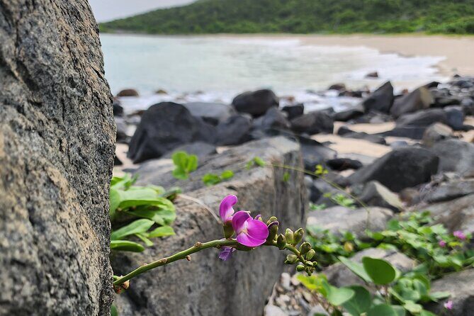 Private Beach Hike Sunrise Serenity - What We Love About This Tour