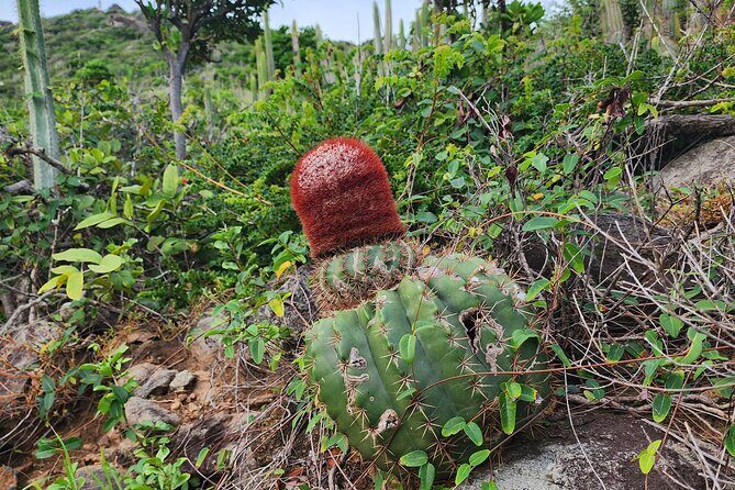 Private Beach Hike Sunrise Serenity - Potential Drawbacks or Considerations