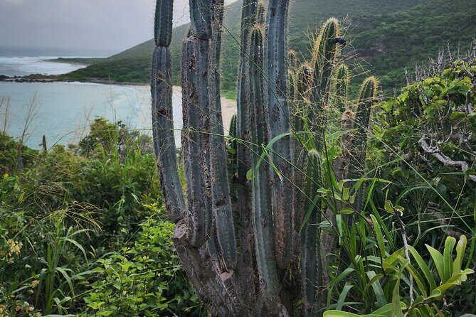 Private Beach Hike Sunrise Serenity - Who Will Love This Experience?