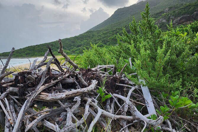 Private Beach Hike Sunrise Serenity - The Sum Up