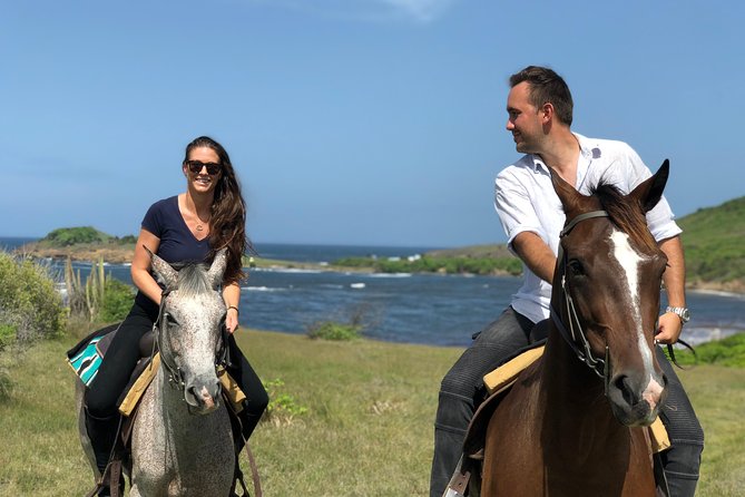 Private Beach Picnic Horseback Ride With Sandy Hoofs St. Lucia - Expectations and Additional Information