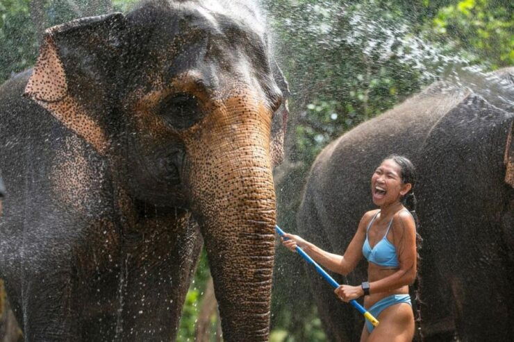 Private Beach With Bathing and Take Care Elephant - Good To Know