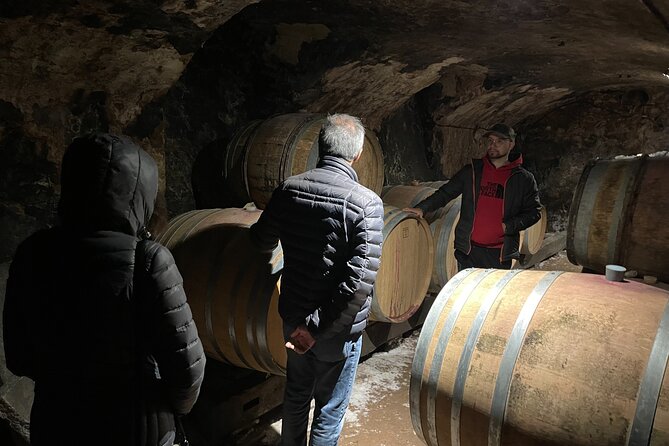 Private Beaujolais Wine Tour From Lyon With a French Wine Expert - Tour Highlights