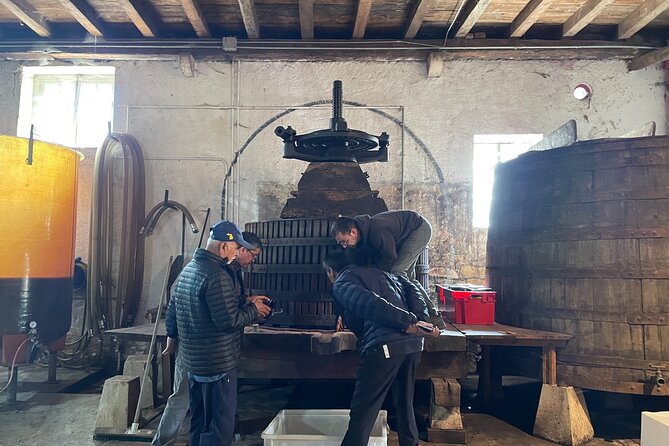 Private Beaujolais Wine Tour From Lyon With a French Wine Expert - Gourmet Lunch Experience
