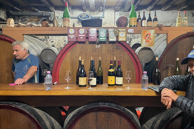 Private Beaujolais Wine Tour From Lyon With a French Wine Expert - The Sum Up