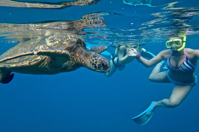 Private Beginner Paddleboard Lesson With Snorkel in Turtle Town! - Paddling Along the Shoreline