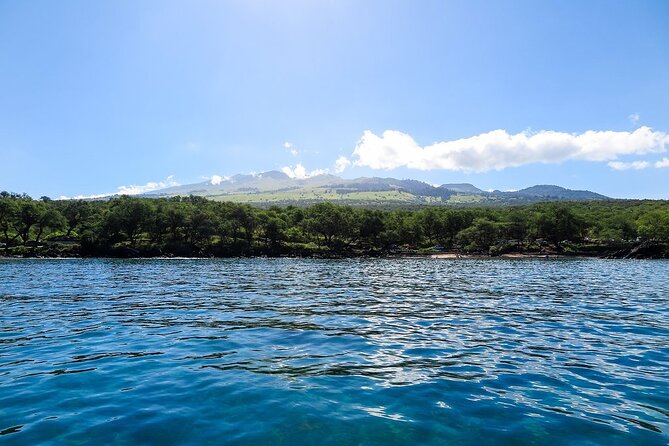 Private Beginner Paddleboard Lesson With Snorkel in Turtle Town! - Common Questions
