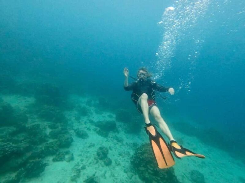 Private: Beginner Scuba Dive in Bávaro: 30-Minute Reef Dive - Good To Know