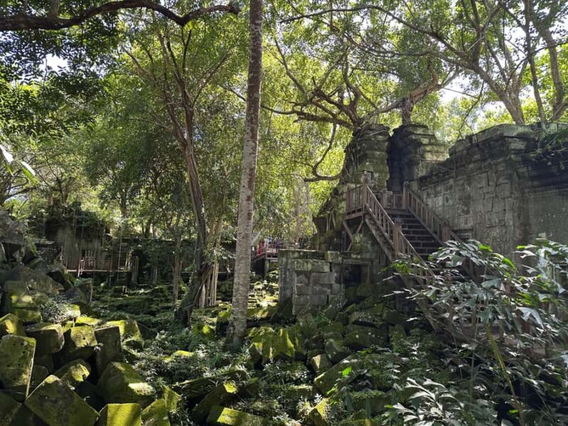 Private Beng Mealea Tour  The Lost Jungle Temple Experience - The Experience of a Private Guided Tour