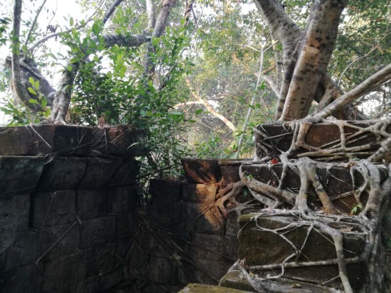 Private Beng Mealea Tour  The Lost Jungle Temple Experience - Value for Money: Is It Worth It?