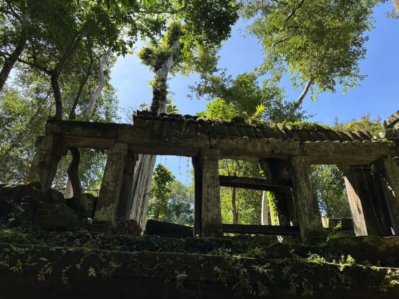 Private Beng Mealea Tour  The Lost Jungle Temple Experience - Who Should Book This Tour?
