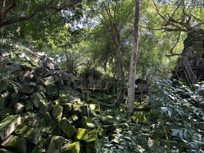 Private Beng Mealea Tour The Lost Jungle Temple Experience - The Sum Up