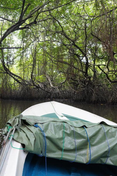 Private Bentota River Safari Tour With Pickup - Booking and Cancellation
