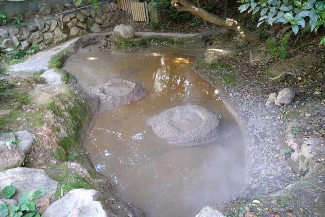 Private Beppu Hell Sightseeing Tour by Car - Final Thoughts: Who Will Benefit Most?