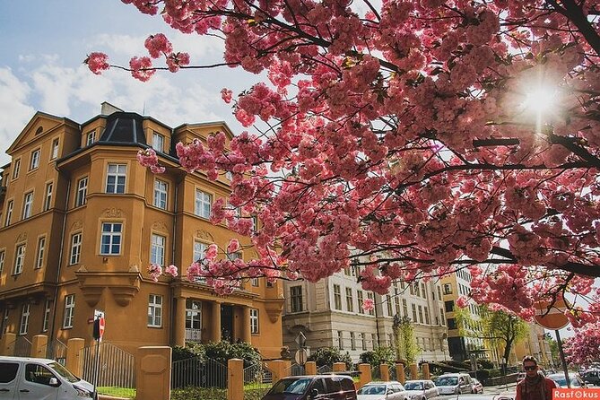 Private Berlin Coffee Tour With Friendly Local Guide - Booking and Contact Information