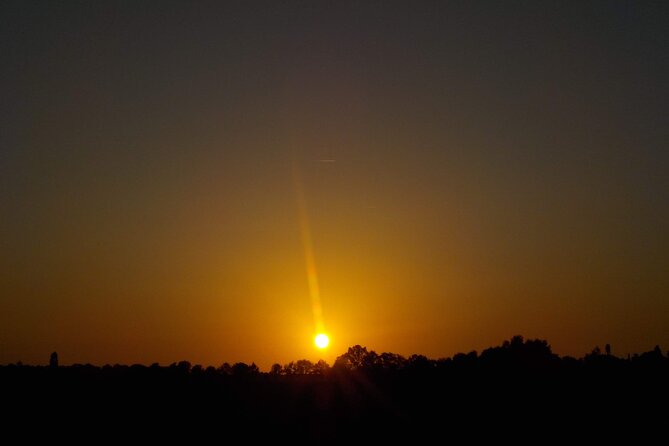 Private Berlin Rickshaw by Night Local Guide (Din EN 15565) - Additional Info