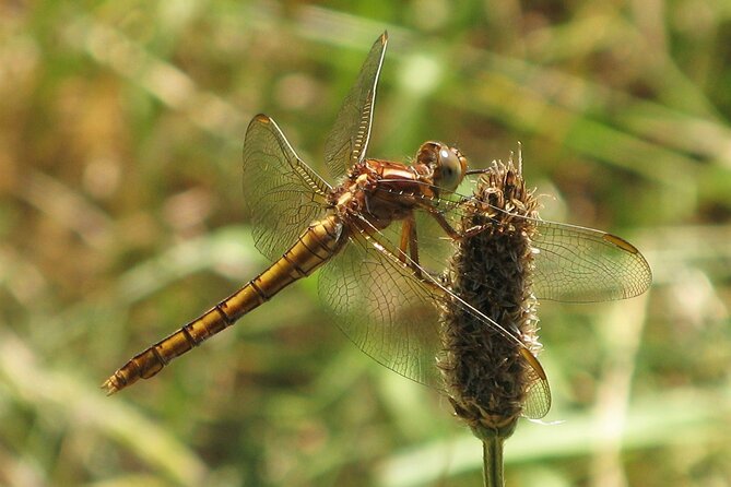 Private Bespoke Guided Nature Walking Tour From Okehampton Station - Additional Information