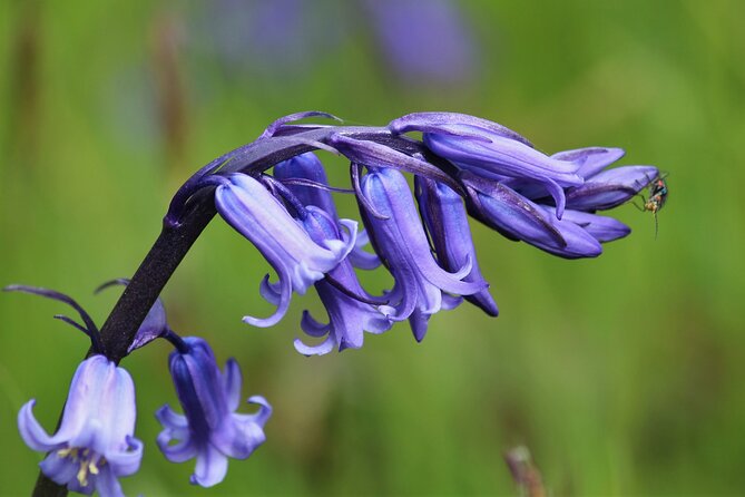 Private Bespoke Guided Nature Walking Tour From Okehampton Station - Pricing and Contact Information