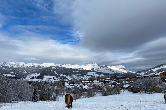 Private Bespoke Megève Experience - Meeting and Pickup Information