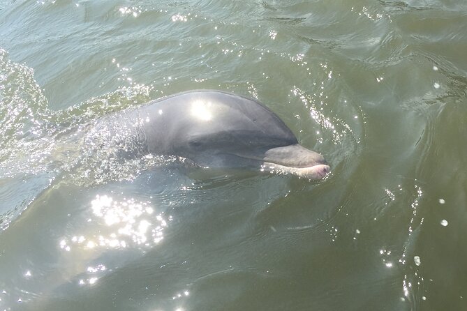 Private Best of Marco Island Tour - Traveler Photos and Reviews