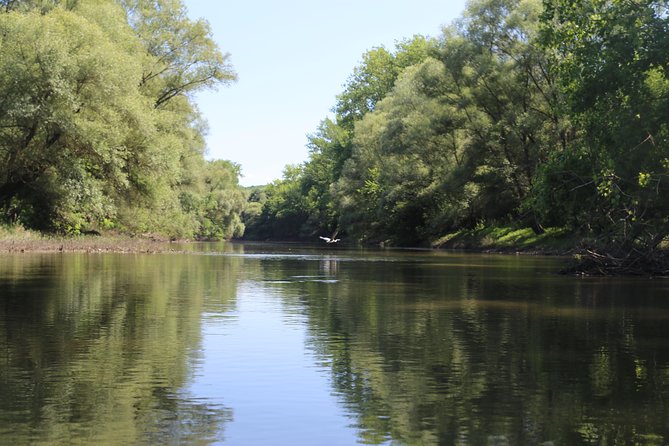 Private Bicycle-Canoe Tour Budapest - Danube Bend - Reviews