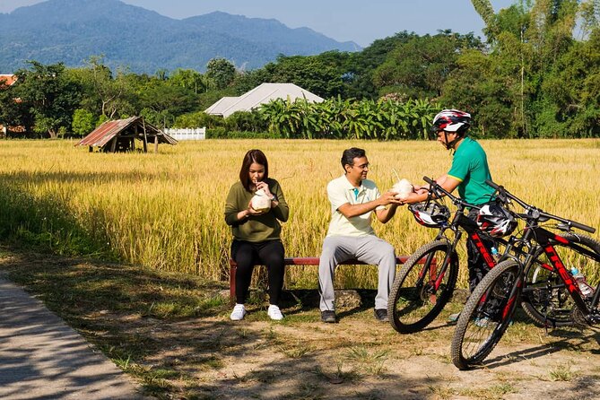 Private Bicycle Tour to Chiang Mai and Thai Cooking Class - Cycling Routes and Itinerary