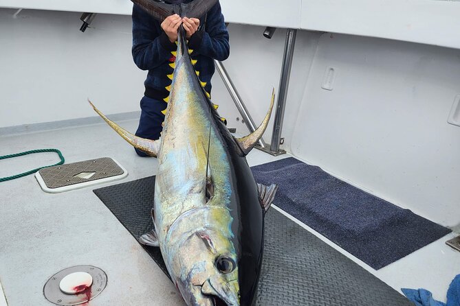 Private Big Game Fishing Charter From Tutukaka, Northland - Booking and Confirmation Details