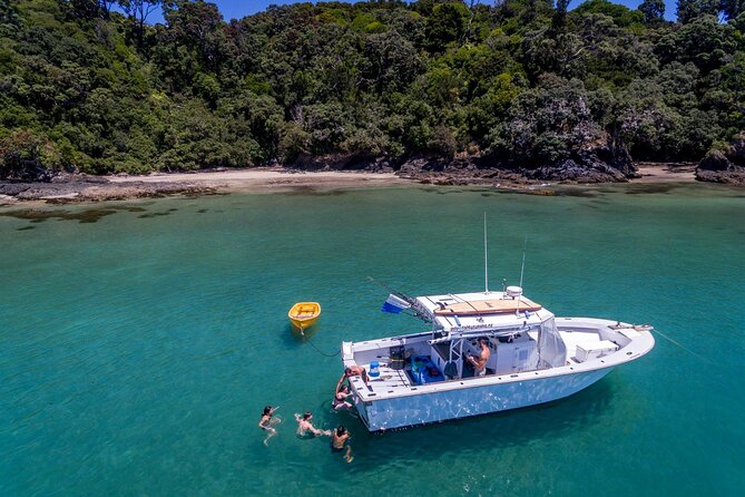 Private Big Game Fishing Charter From Tutukaka, Northland - Miscellaneous Information