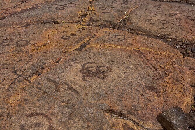 Private Big Island: History & Local Market Tour (Up to 12) - FAQ