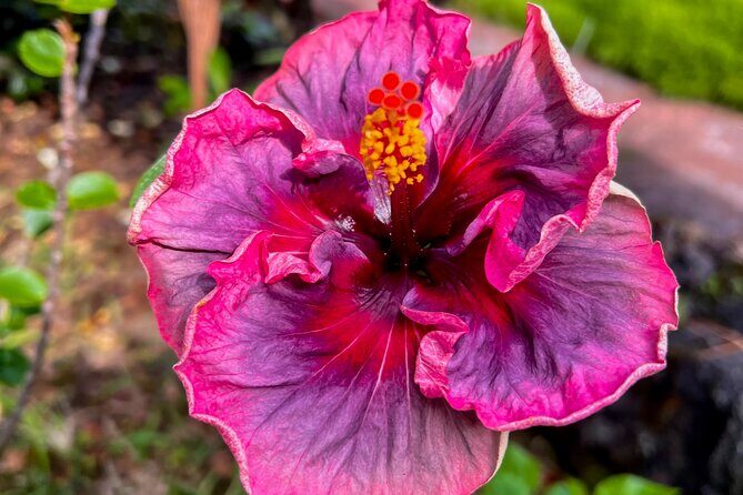 Private Big Island: History & Local Shopping Tour - Good To Know