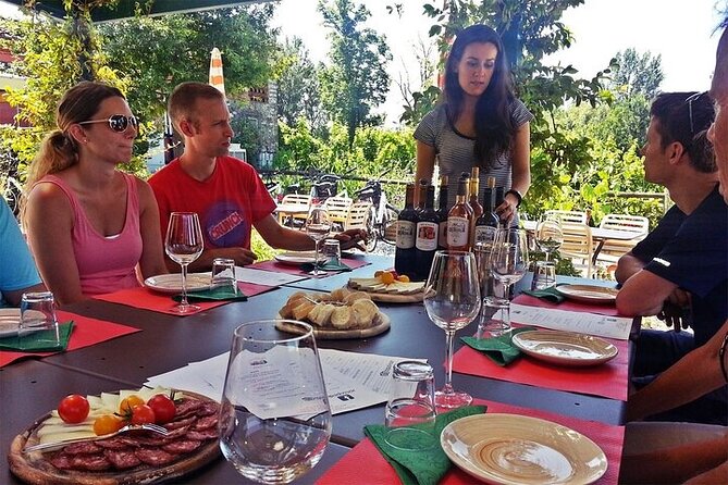 Private Bike and Wine Hal-Day Tour in Lucca - Whats Included