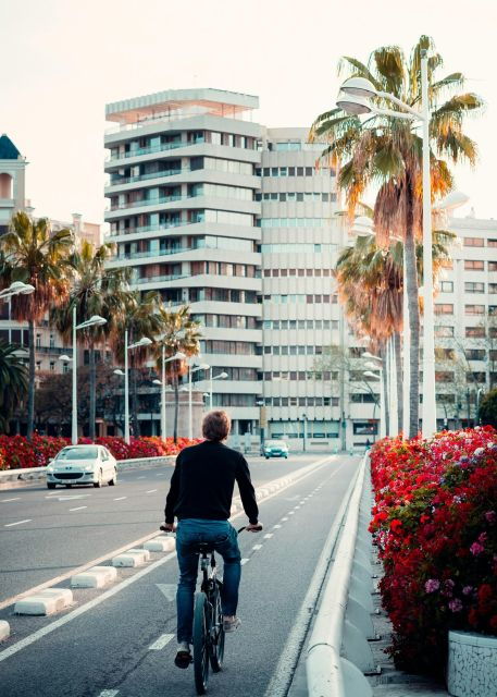 Private Bike Tour: From the City Center to Maritim Towns - Activity Description