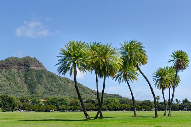 Private Bike Tour in Honolulu - Tour Overview