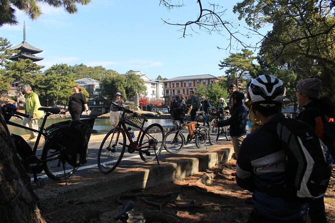 Private Bike Tour in Nara With Japanese Guide - Tour Overview