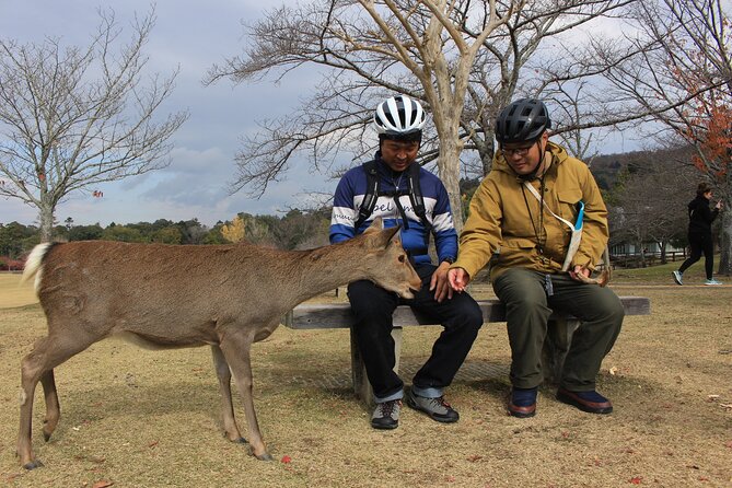 Private Bike Tour in Nara With Japanese Guide - Pricing Details